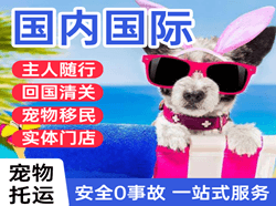 玉林空运国际宠物托运 【国